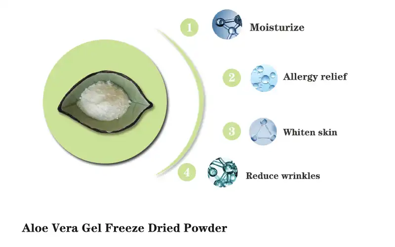 Aloe Vera Gel Freeze Dried Powder Supplier.jpg